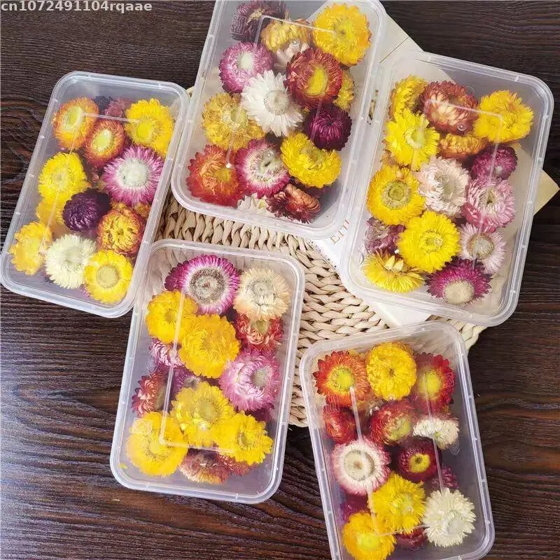 زهور مجففة طبيعية 100% من نوع  - مراجعة Soap Making Material Wholesale وسعره